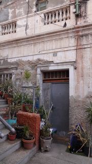 2022-03-GranCan-Las_Palmas-Santa_Ana--Doramas-PM-NN-071.JPG